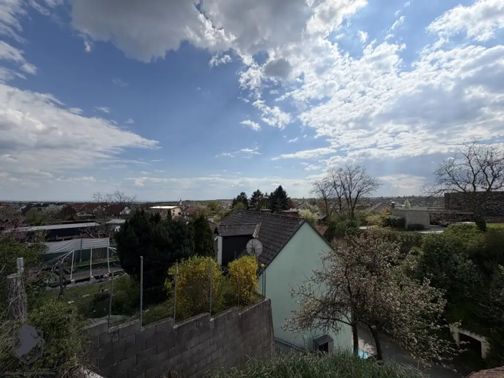 Charmantes Presshaus mit historischem Weinkeller & Entwicklungspotenzial – seltene Gelegenheit!