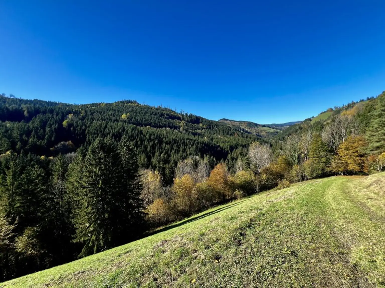 Idyllisch gelegenes Bauernanwesen und Kraftplatz unweit von Graz.