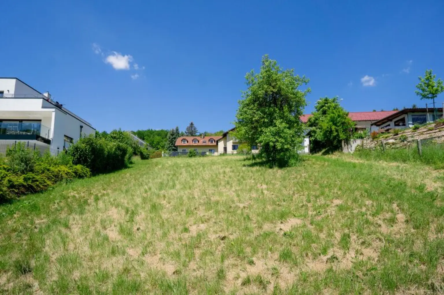 Blick über das gesamte Grundstück hinauf