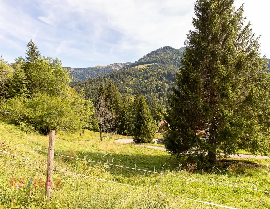 Ankommen und Ausspannen auf 950 m² Naturglück