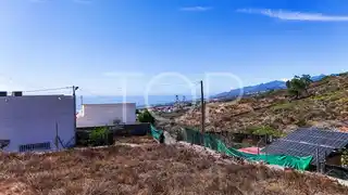 TOP-AS - Plot Tejina-12