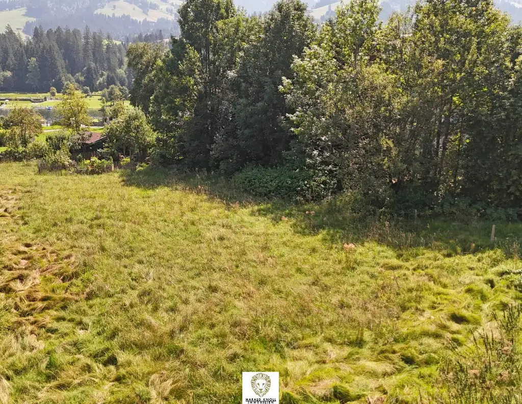 Traumhaftes Baugrundstück mit unverbaubarem Ausblick