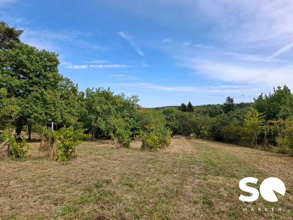 #SQ - UNGARN/KÖSZEGSZERDAHELY: LANDHAUS NAHE ÖSTERREICH AUF KNAPP 7000M² GRUND
