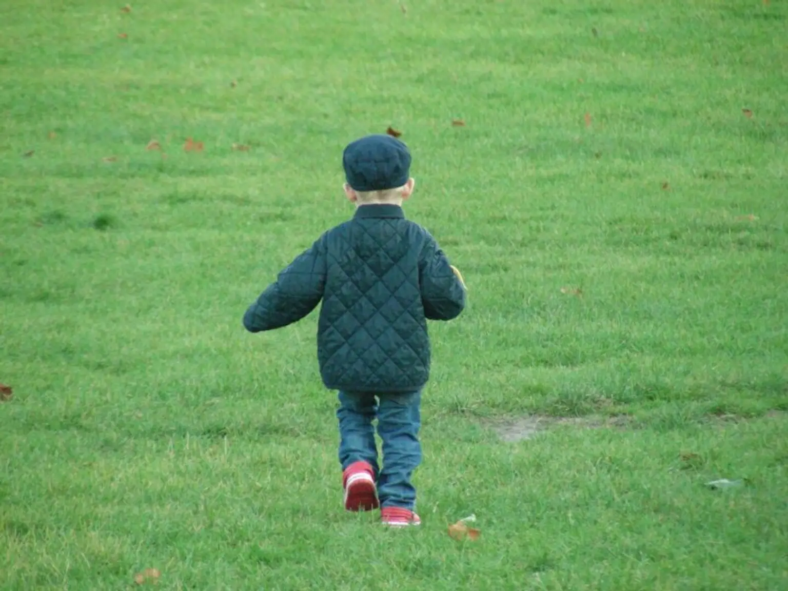 Wagram o.d.T. - ebenes Baugrundstück in Siedlungsrandlage
