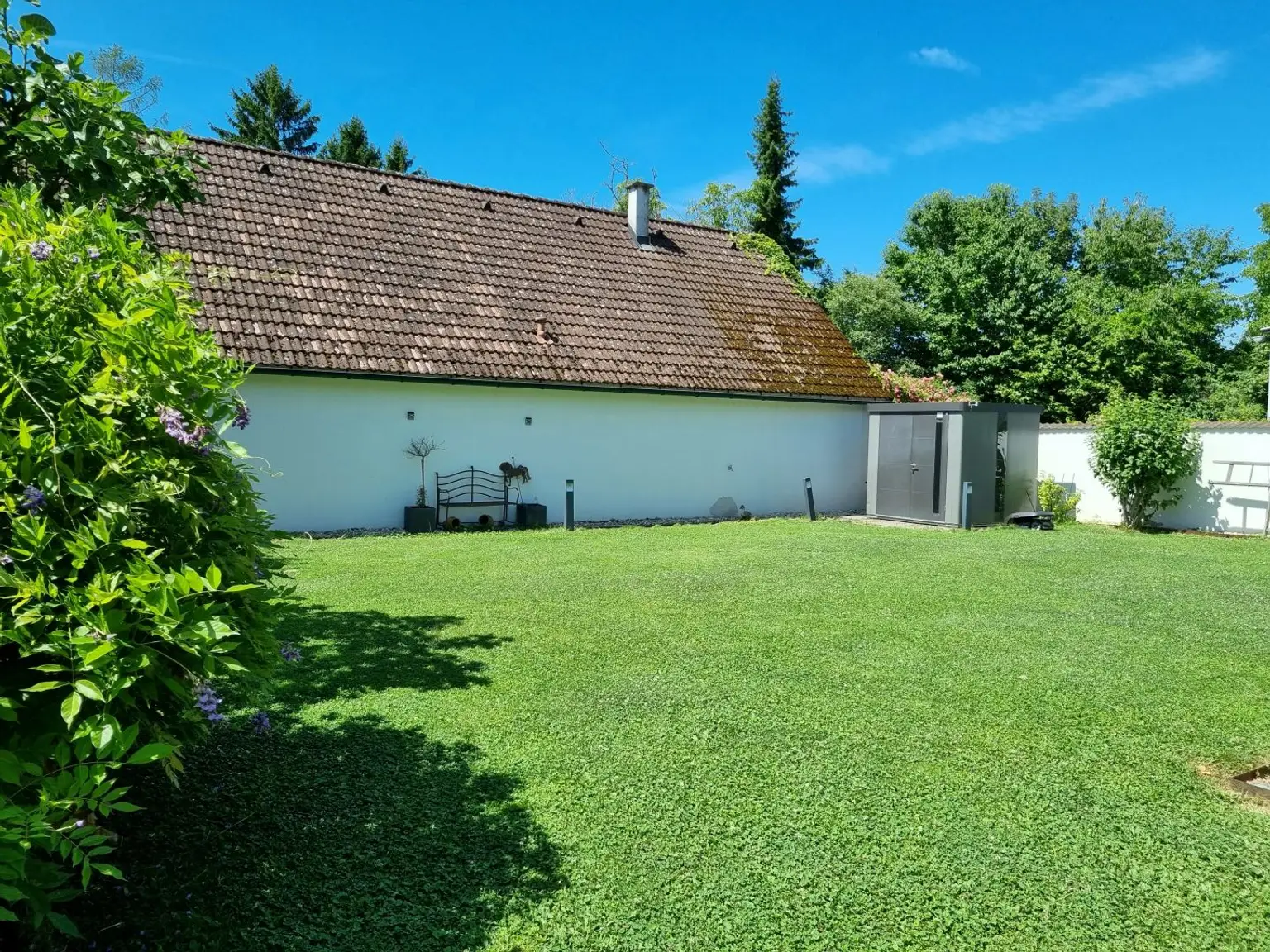 Garten (1)