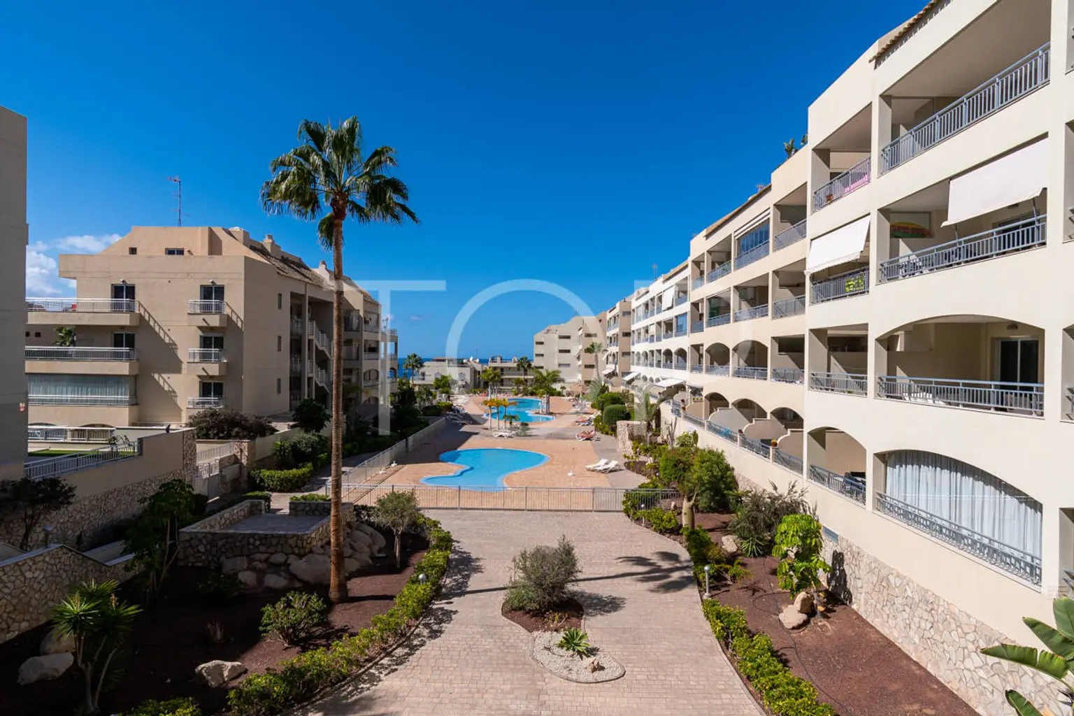 Apartment-El-Pam-Mar-xxx-Tenerife-3348