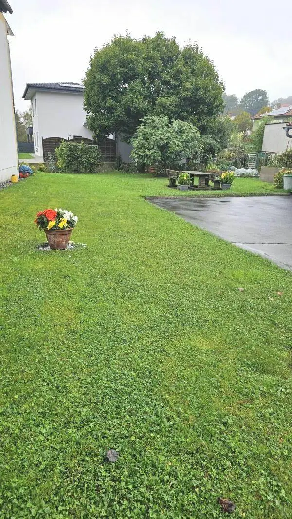 **Barrierrefreie & großzügige Wohnung** sonnige Loggia mit Grünblick** Carport**
