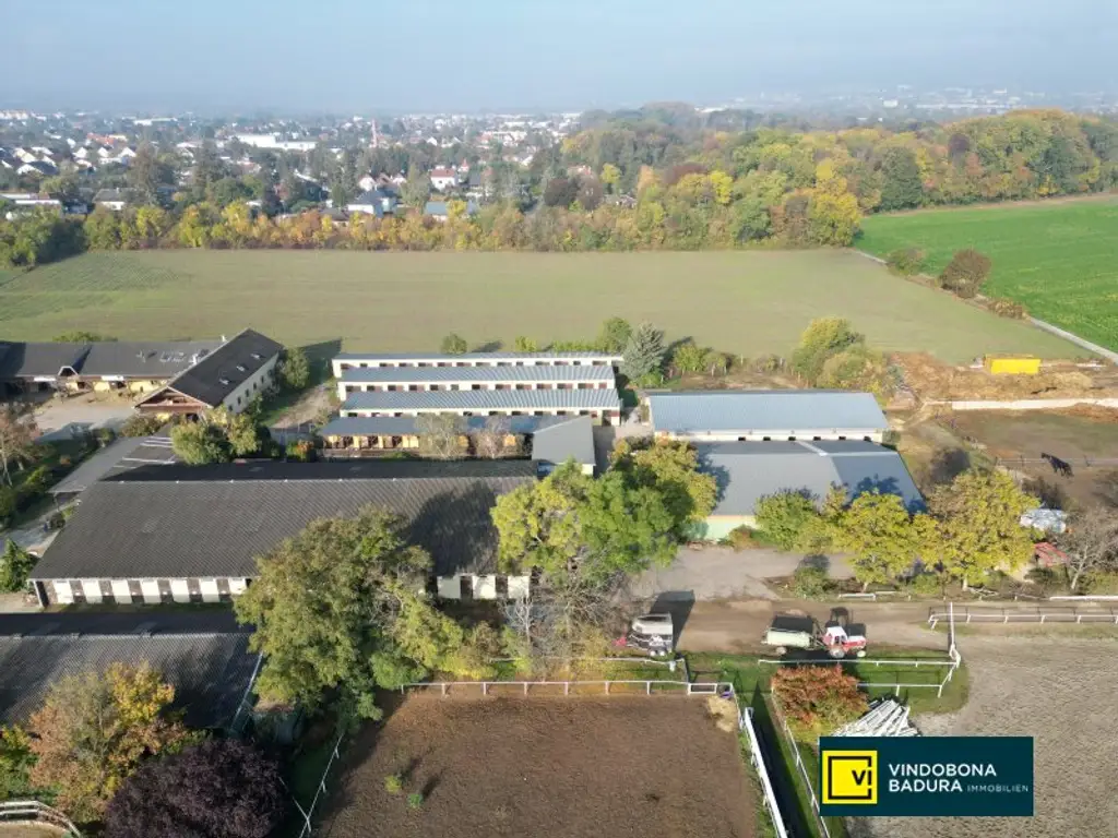 Exklusive Reitsportanlage vor den Toren Wiens – 145 Boxen | Reithallen | Reitplätze | Koppeln | Villa & Personalwohnungen