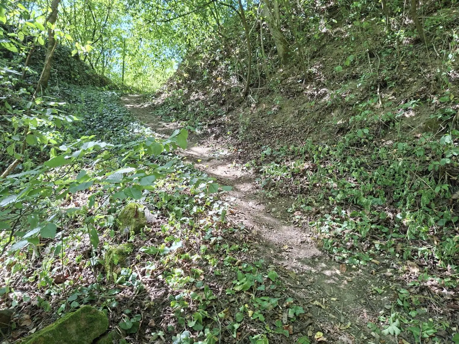 Fußweg_Grundstück_Parkmöglichkeit
