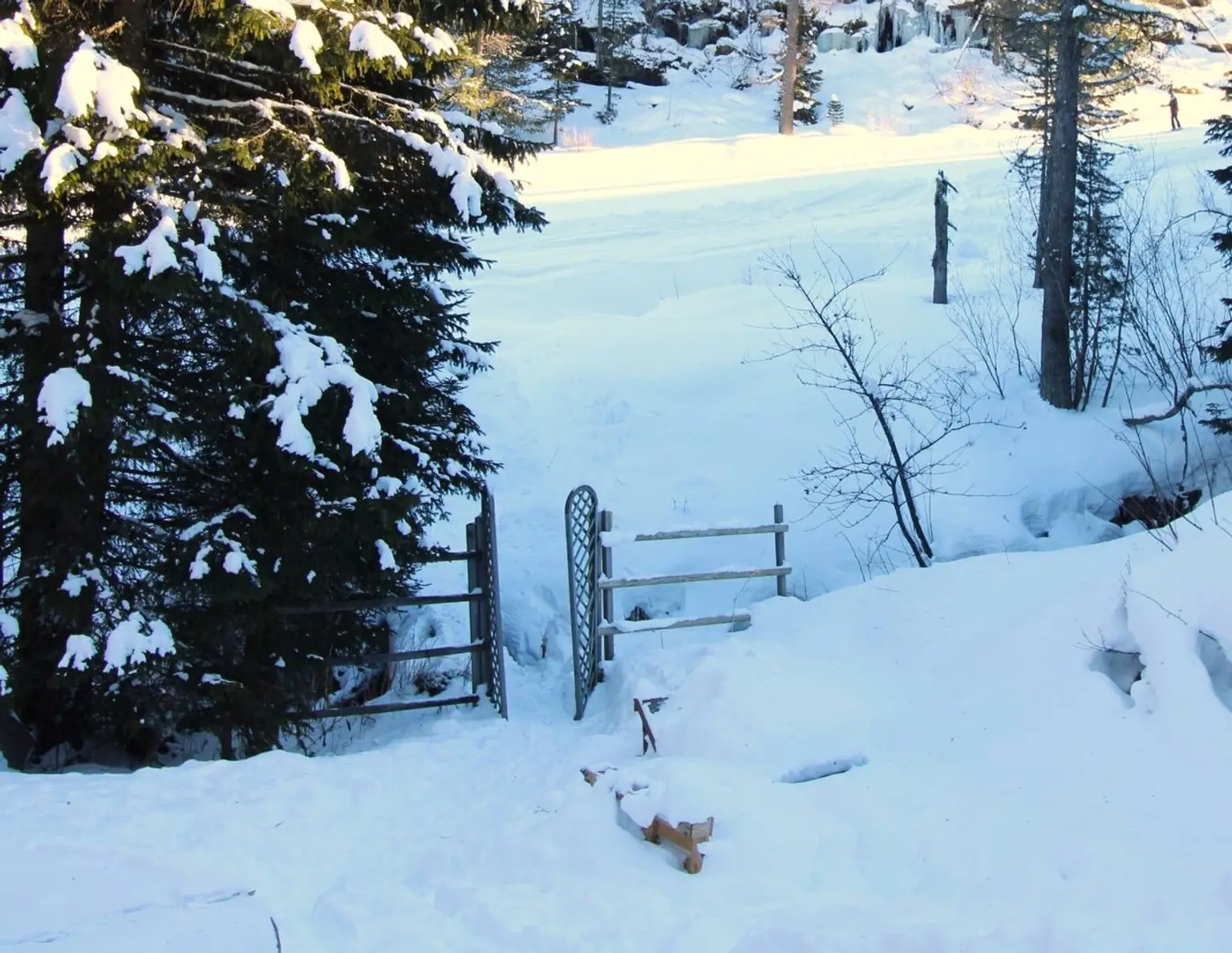 Turracher Höhe- Natur Pur genießen - Almhütte/Berghütte - Skifahren - Wandern in absoluter Traumlage