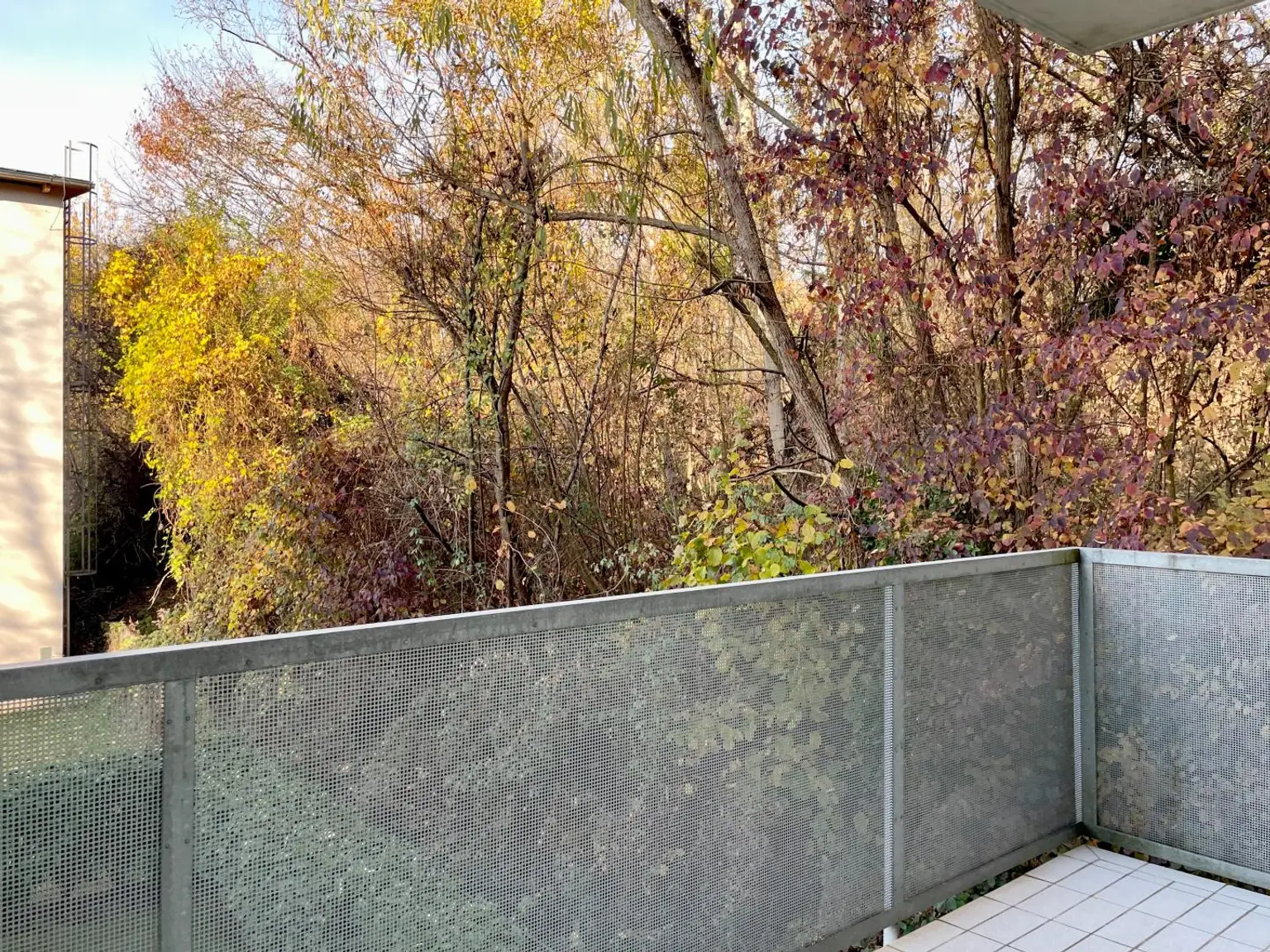 Idyllisch leben am Stadtrand – Lichtdurchflutete Wohnung mit Balkon ins Grüne