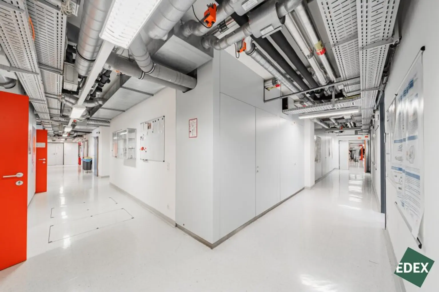 Vollausgestattete Laborflächen im Vienna Bio Center