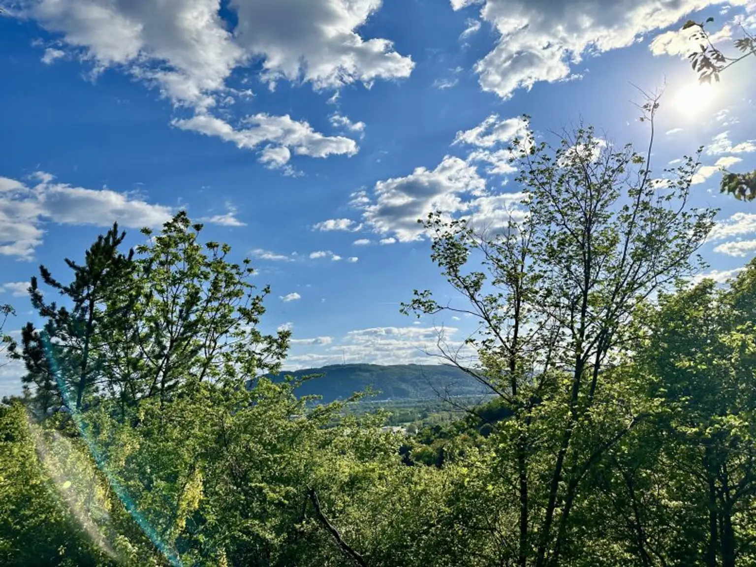 Ausblick Terrasse 2