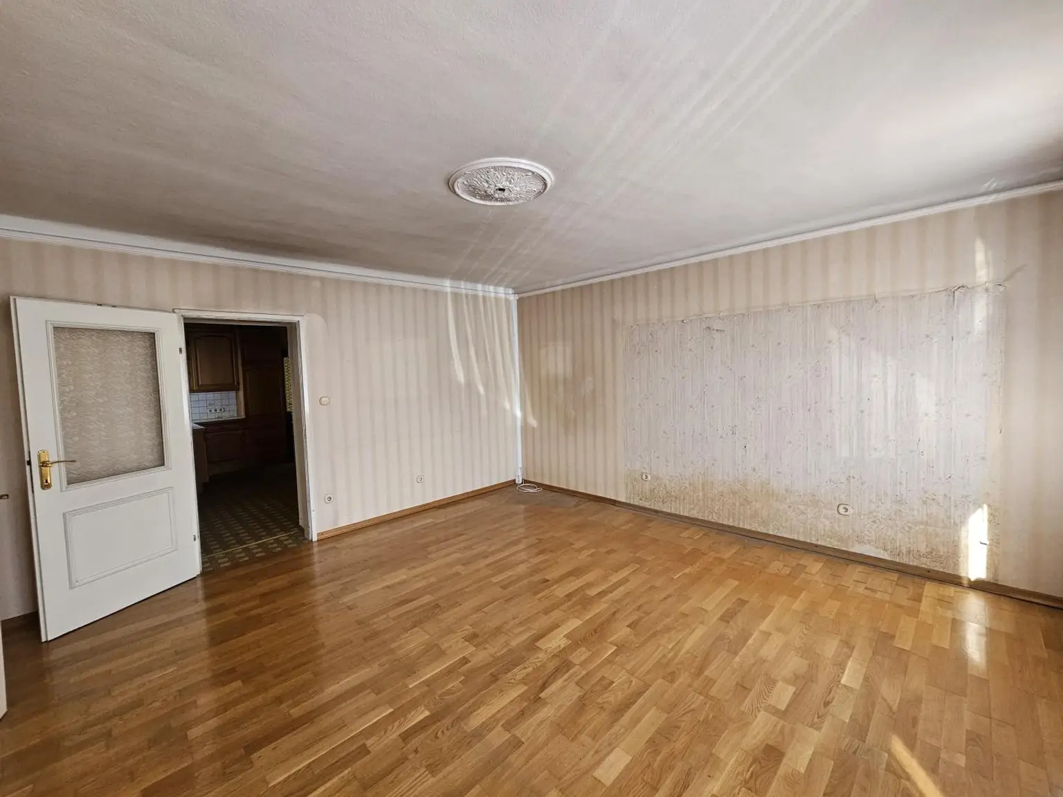 Zimmer EG (2)