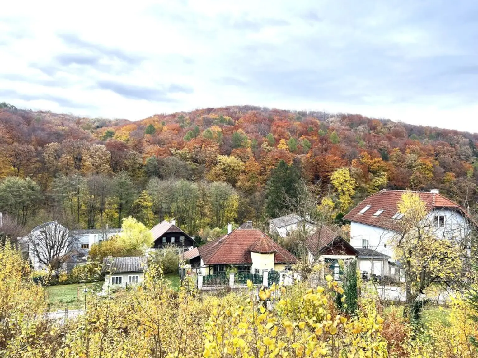 WOHNEN IM GRÜNEN - SONNIGES GRUNDSTÜCK AM RANDE DES WIENERWALDES!