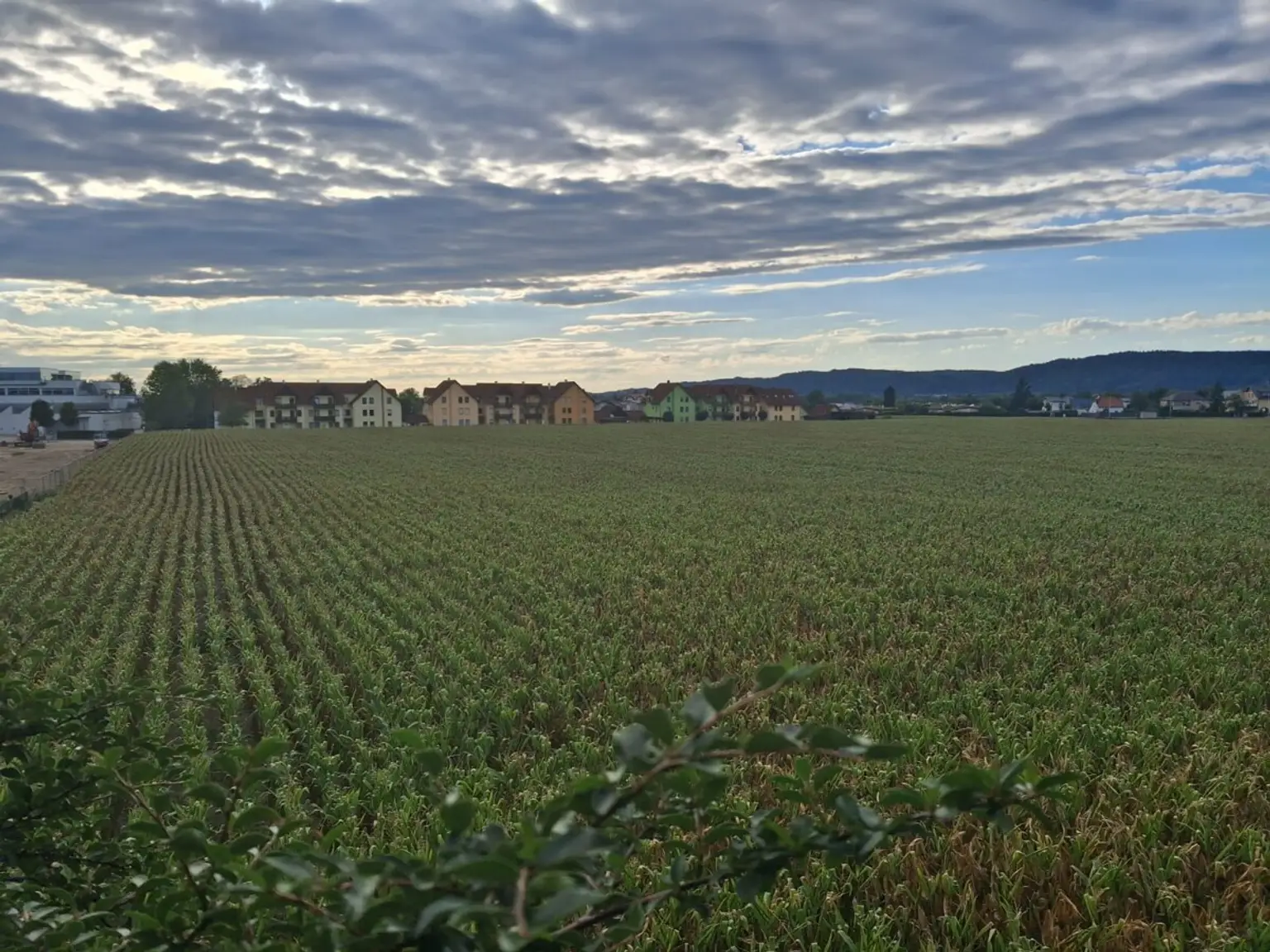 Aussicht