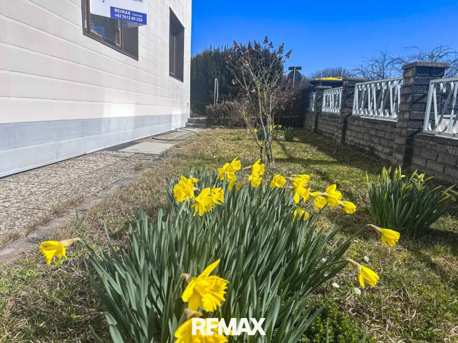 Der Frühling kommt....