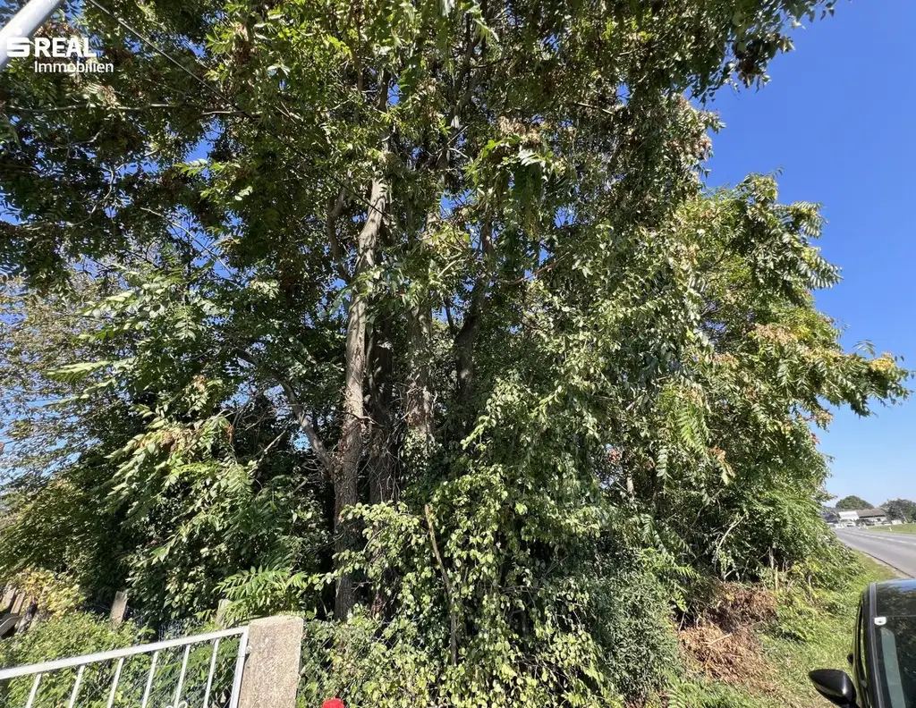 Baugrundstück in Top-Lage - perfekt für Familien