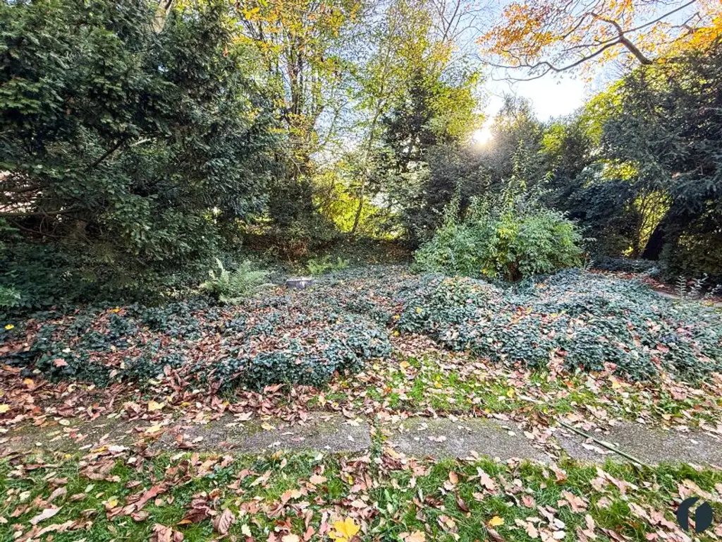 Grundstück mit Potenzial für Ihr Einfamilienhaus in Altenberg