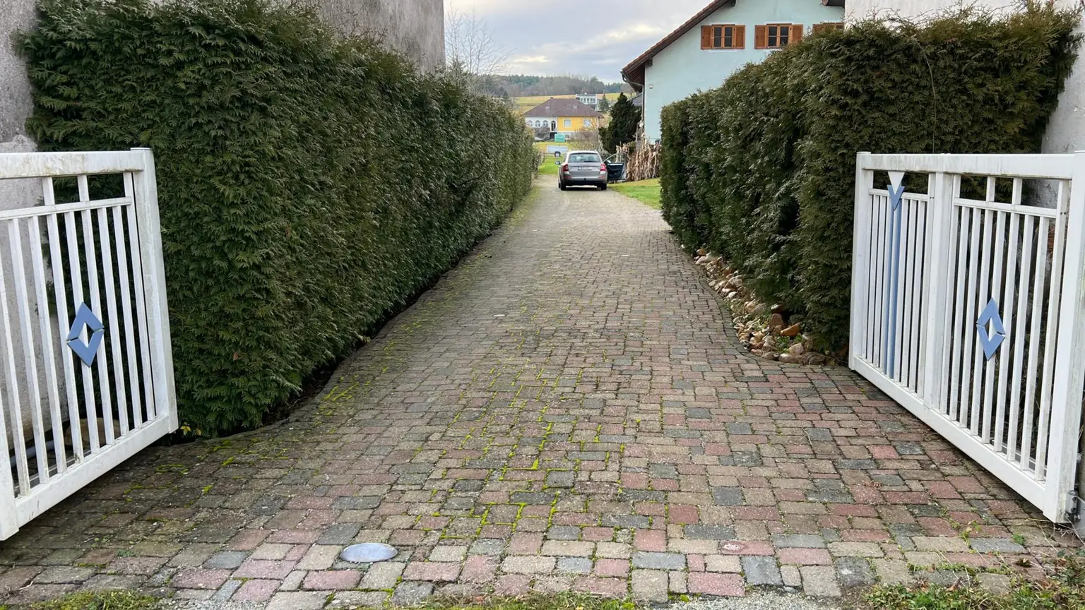 Einfahrtstor elektrisch