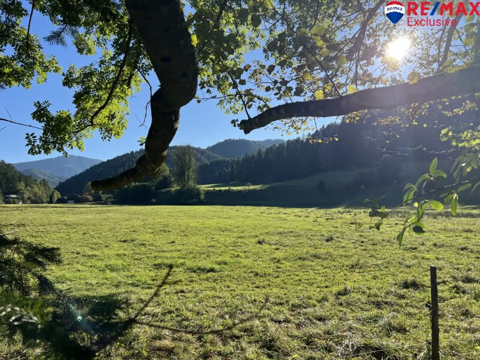 Idyllisches Landhaus in Gutenstein: 4 Zimmer, Garten, 349.000 €! Ihr neues Zuhause wartet!
