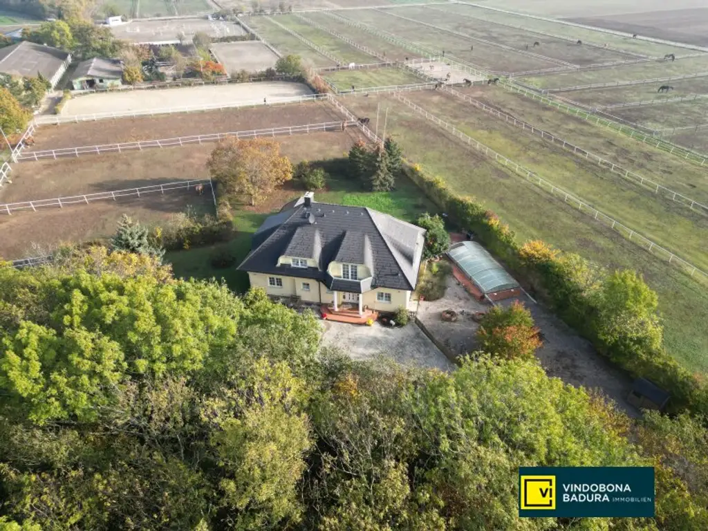 Exklusive Reitsportanlage vor den Toren Wiens – 145 Boxen | Reithallen | Reitplätze | Koppeln | Villa & Personalwohnungen