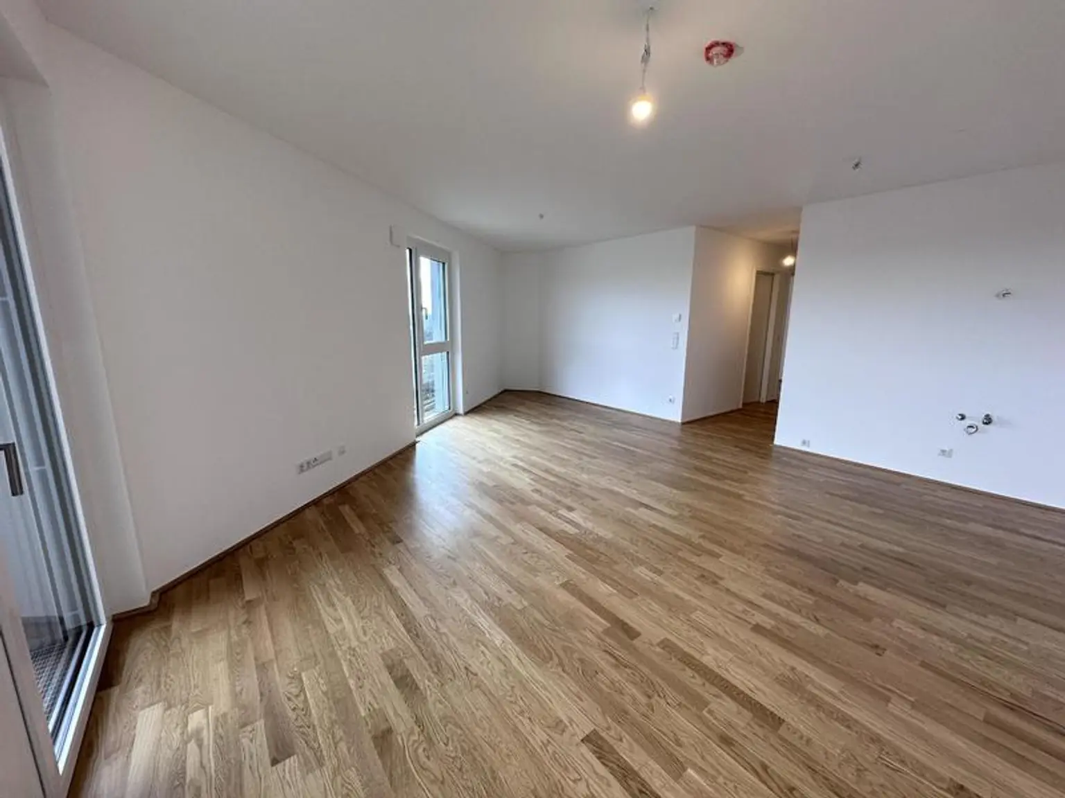 einen Katzensprung von Wien entfernt MIETE