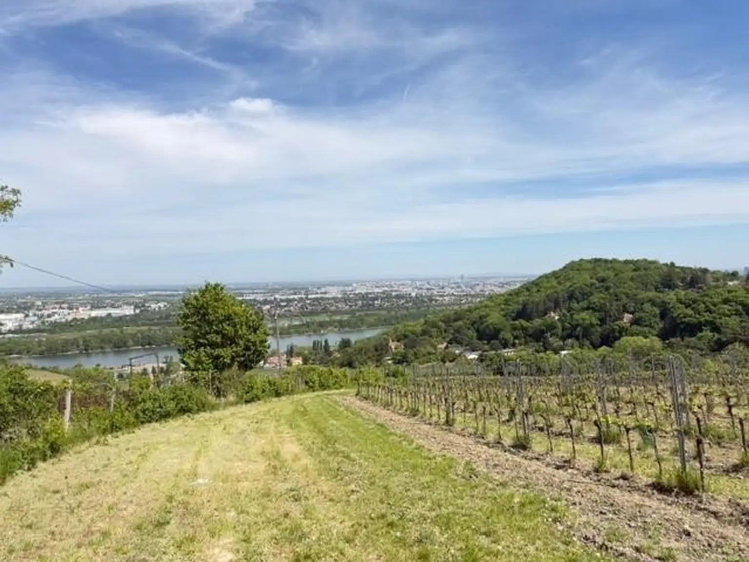 ETW 1190 Döbling - Aussicht