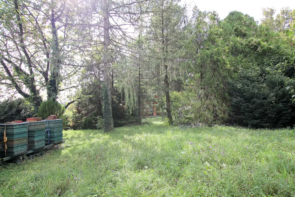 Eigengrund: Grünland mit Gartenhaus - Großes Grundstück in Mauer am Kadoltsberg - direkt am Lainzer Tiergarten