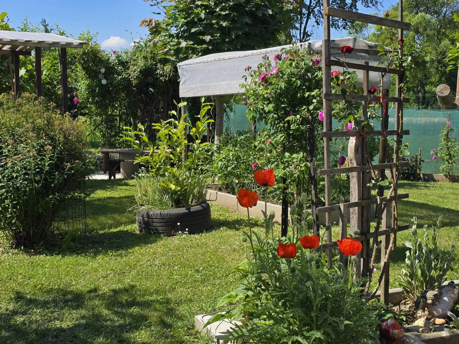 Gartendetail