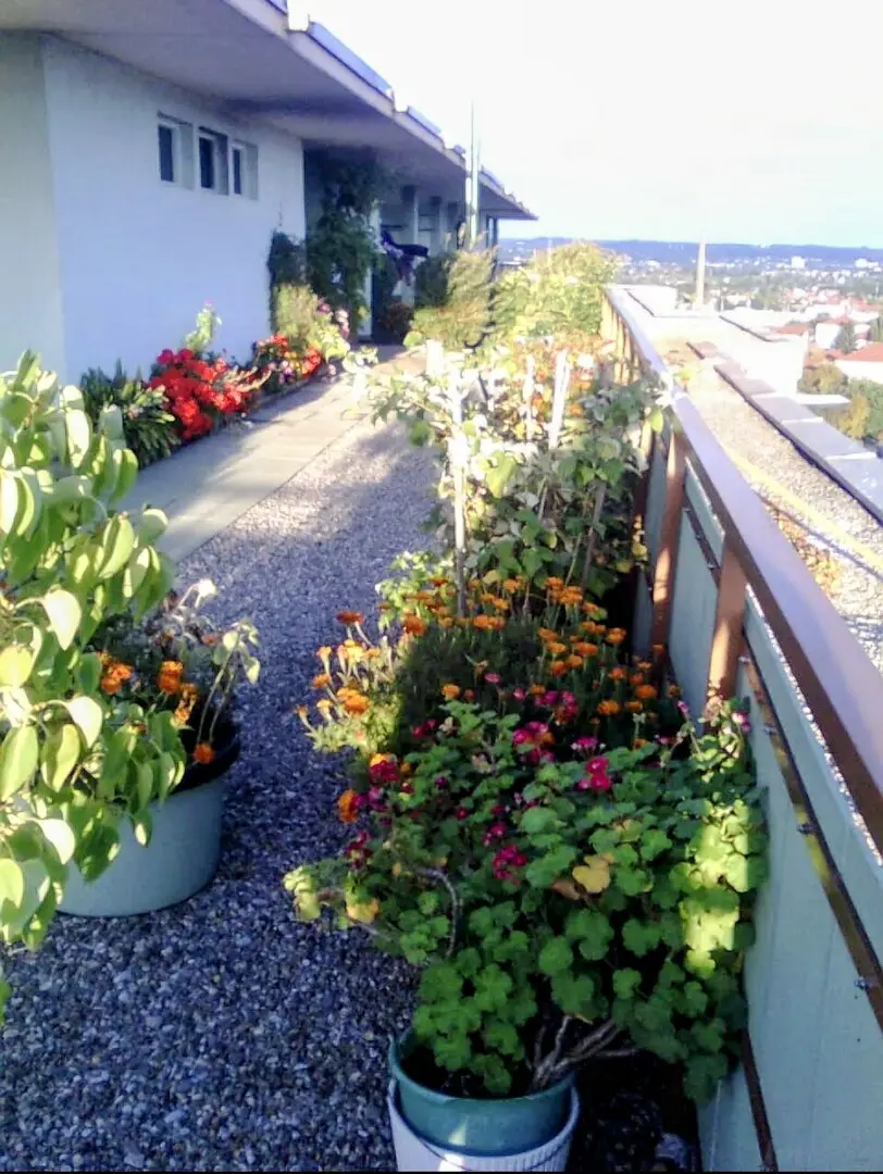 Bild 17 Dachterasse