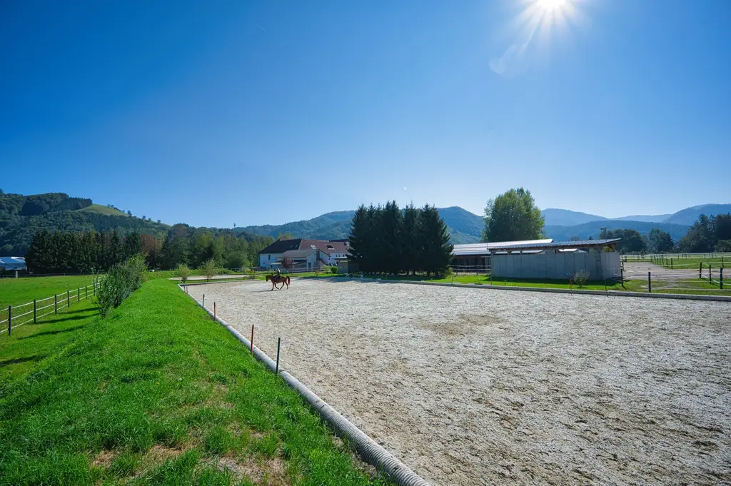 Reiterhof. Vierkanter. Wirtshaus. Zimmervermietung. Wohnungen. Natur.