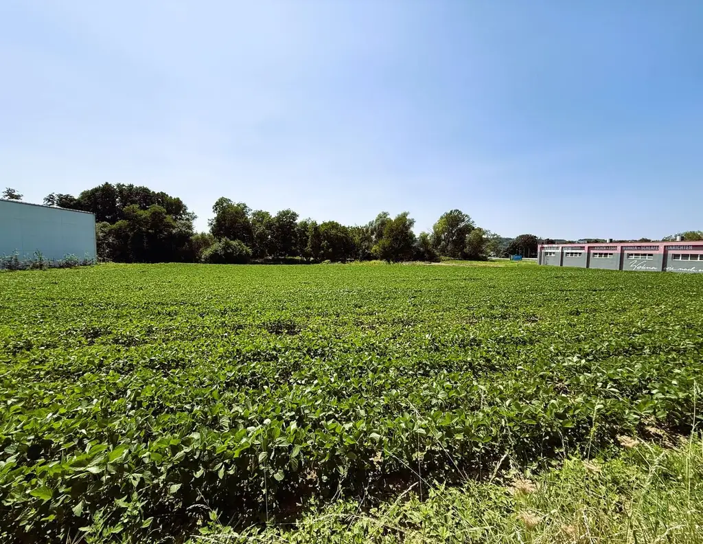 Attraktives Gewerbegrundstück als BAURECHT im Industriegebiet Oberwart