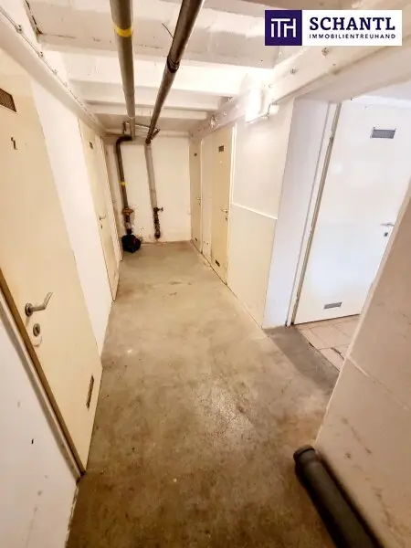 Ruheoase im Grünen! Sonnig. Saniert. Einfach super! Erstbezug mit Wohlfühlfaktor! 4 Zimmer + 2 Balkone + Garagenplatz + Hochwertige Einbauküche! Grün wohin das Auge reicht!