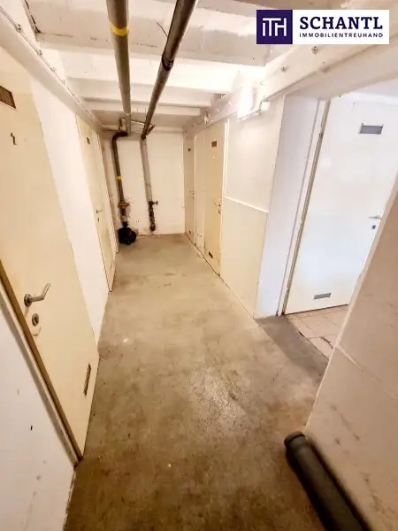 Ruheoase im Grünen! Sonnig. Saniert. Einfach super! Erstbezug mit Wohlfühlfaktor! 4 Zimmer + 2 Balkone + Garagenplatz + Hochwertige Einbauküche! Grün wohin das Auge reicht!