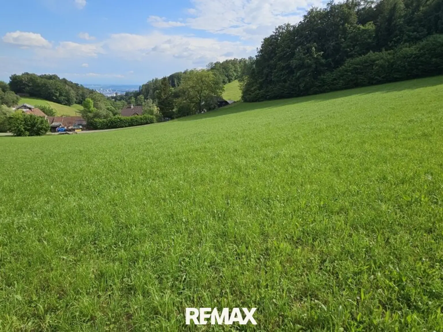 grün und sonnig