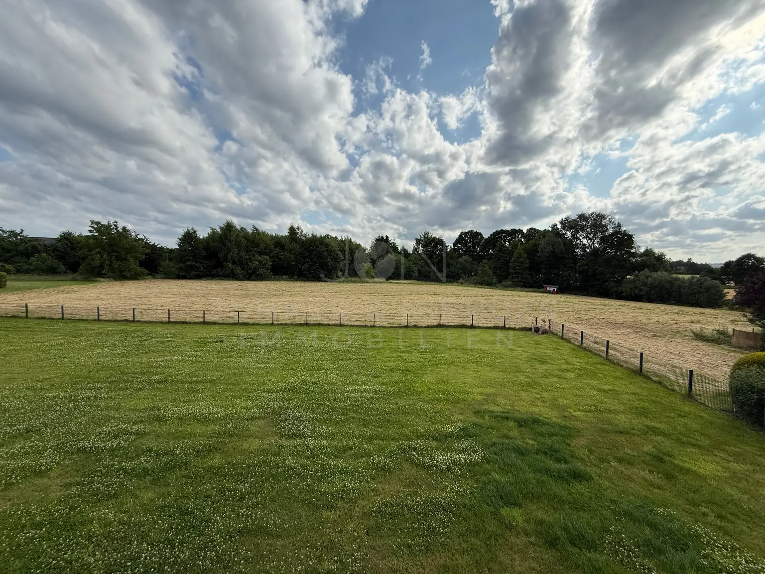Blick ins Grüne