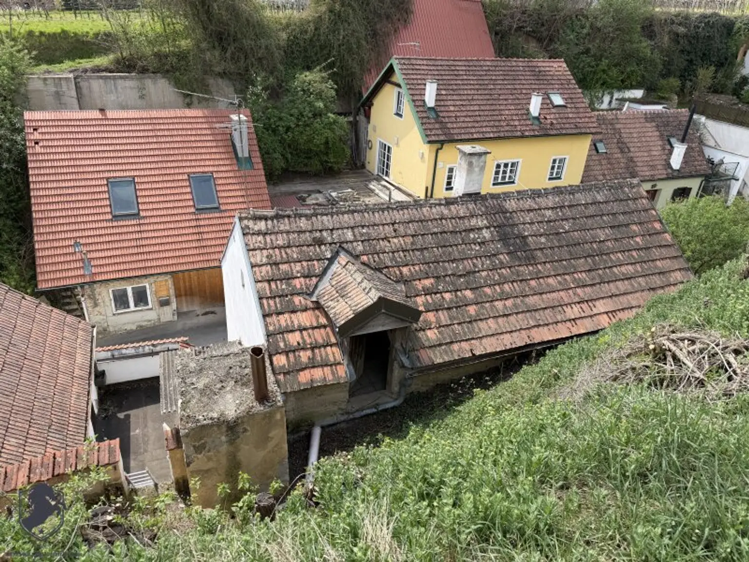 Charmantes Presshaus mit historischem Weinkeller & Entwicklungspotenzial – seltene Gelegenheit!