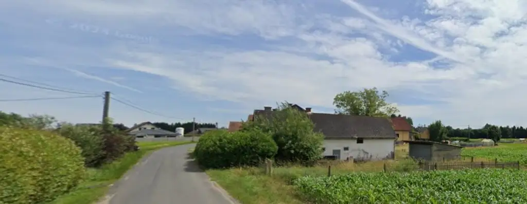 Sanierungsbedürftiges Haus mit Garage und Grünblick in Deutsch Goritz – Ihr neues Projekt!