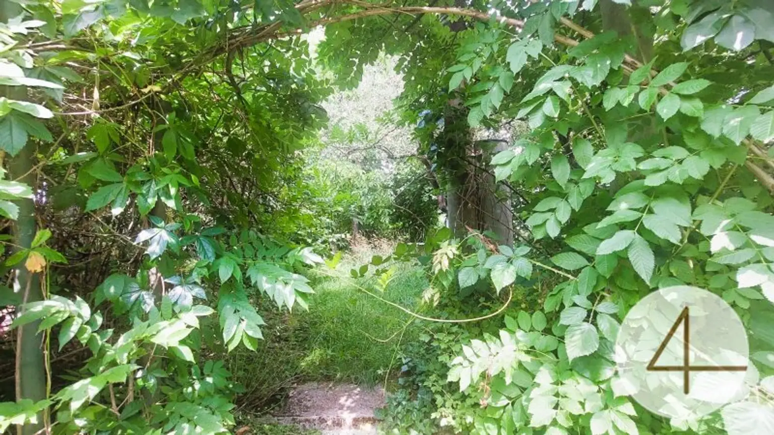 Natur rund ums Haus!