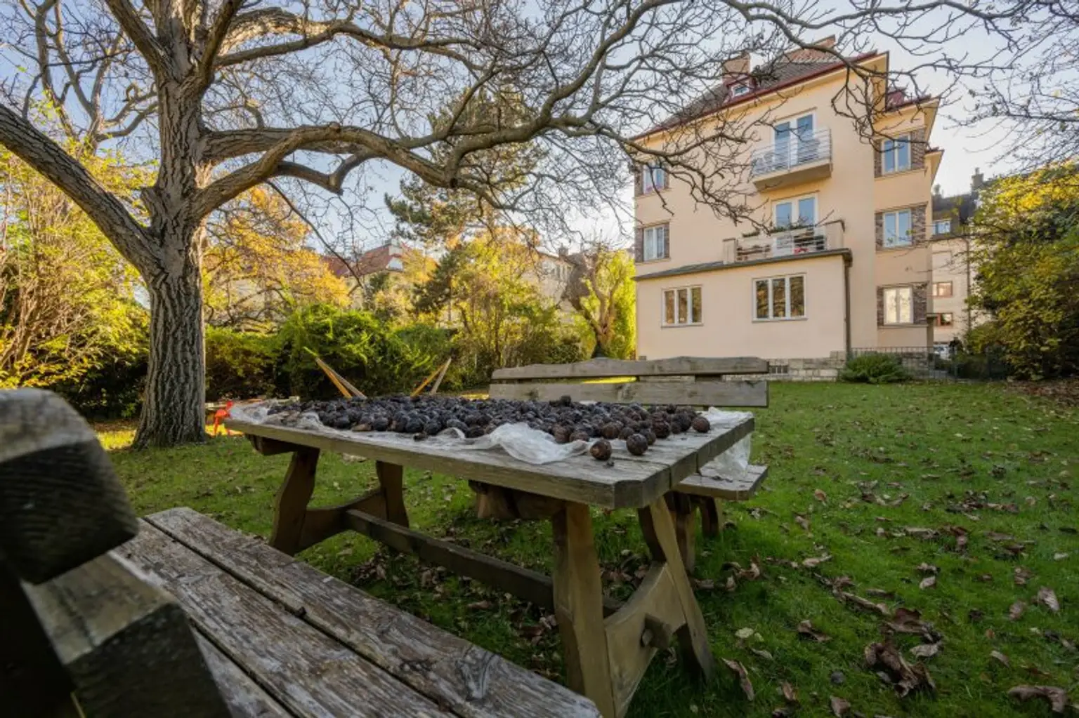 Garten - Impressionen