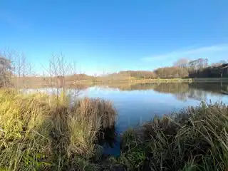 Obersee in unmittelbarer Nähe