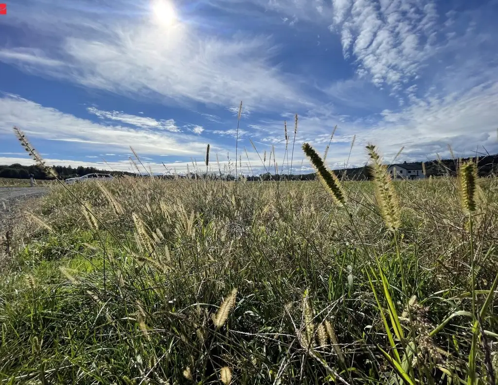 FLACHDACH: Erbauen Sie sich Ihr Traumhaus in malerischer Landschaft