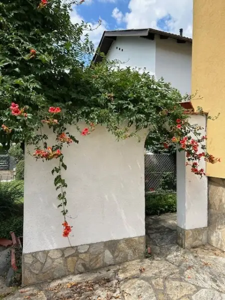 +++ TOP PREIS P.B. - KORNEUBURG, GROSSES 7 ZIMMER EIN -ZWEIFAMILIENHAUS, BENÖTIGT LIEBEVOLLE MODERNISIERUNG, toller Wintergarten und Terrasse Altbaumbestand GARTEN +++