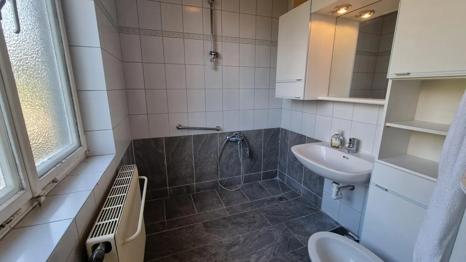 Einfamilienhaus mit Garten in Spratzern