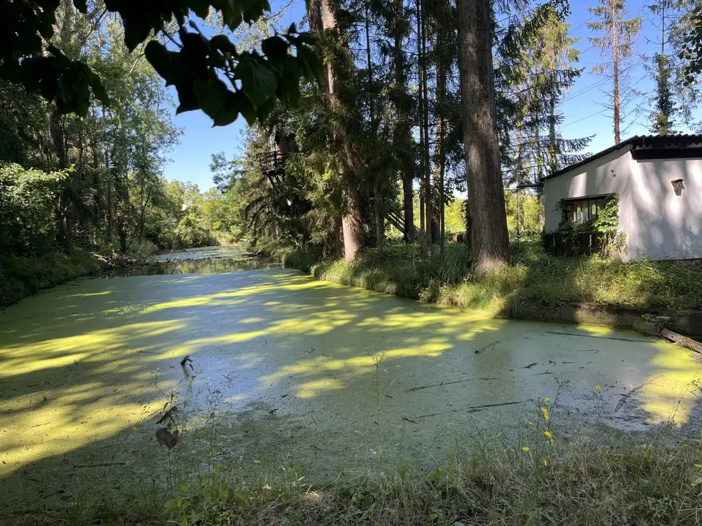 Traumhafte grüne Ruheoase - fast mitten in der Bezirksstadt