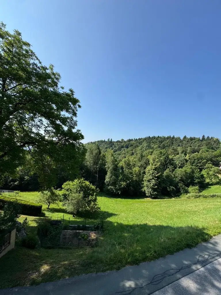 Charmantes Winzerhaus in der Sausaler Weingegend