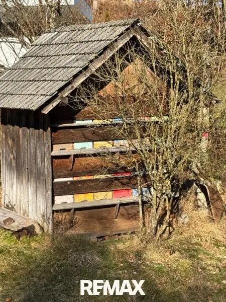 Bienenhütte