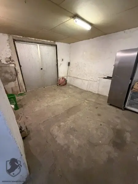 Charmantes Presshaus mit historischem Weinkeller & Entwicklungspotenzial – seltene Gelegenheit!