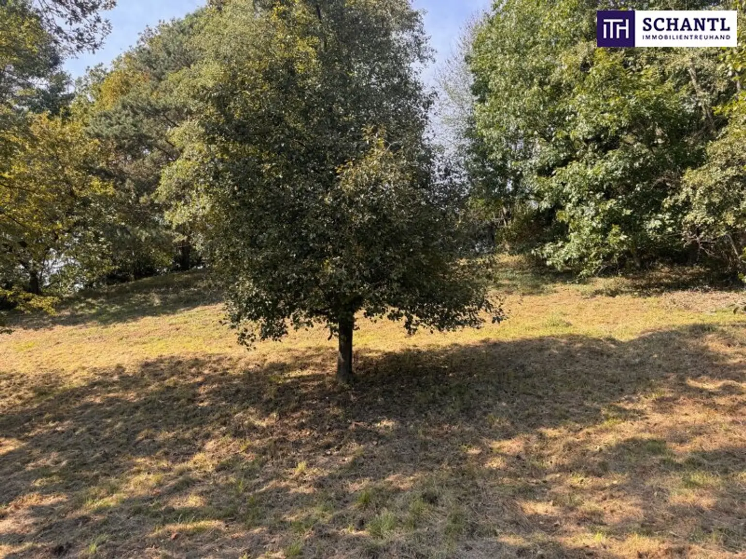 PREISREDUKTION! Attraktiver Baugrund inkl. Bewilligung für Wohnbauprojekt mit 4 Doppelhaushälften! Jetzt Anfragen!